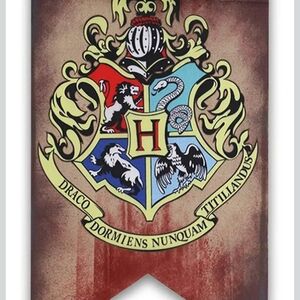 Harry Potter House Large Flag Banners 5pc Set